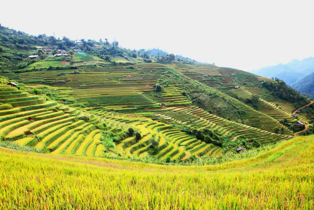 Cao nguyên đá Đồng Văn
