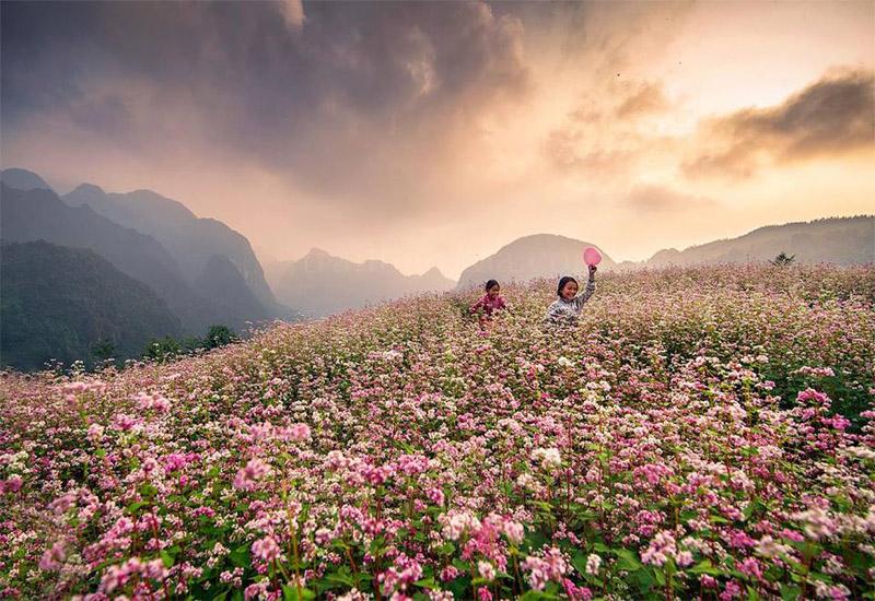Cao nguyên đá Đồng Văn