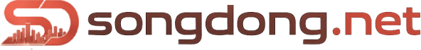 songdong.net